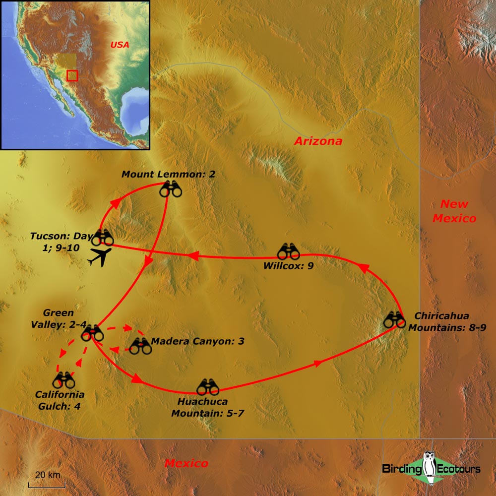 Map of birding tour in USA: Comprehensive Southeast Arizona – The Desert & Sky Islands August 2024/2025