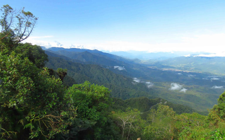 Colombia Uncovered: Southern Andes, Amazon Foothills & Llanos