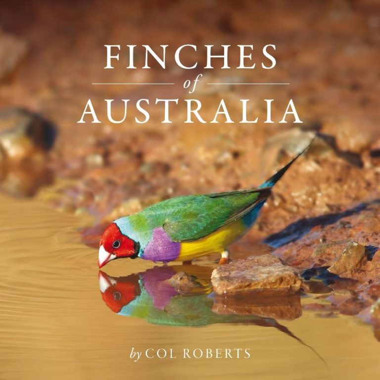 Bird Book Review: Finches of Australia by Col Roberts - Birding Ecotours