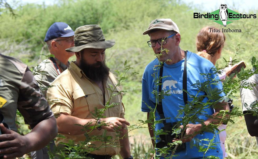 Kenya birding tours