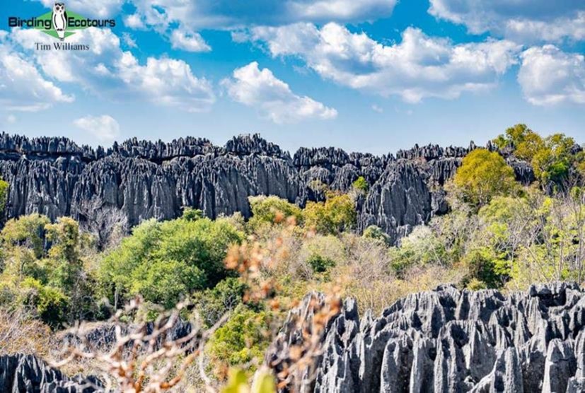 Limestone Formations