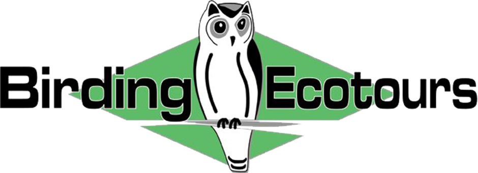 Birding Ecotours logo